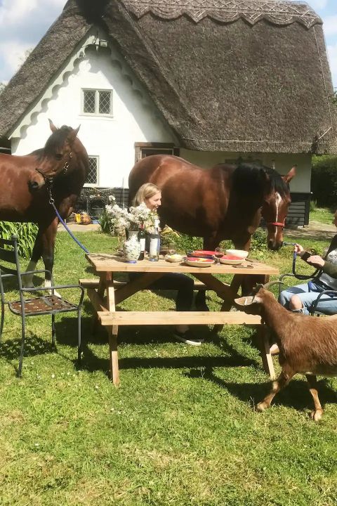 Horse riding near London with lunch